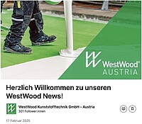 LinkedIn Newsletter